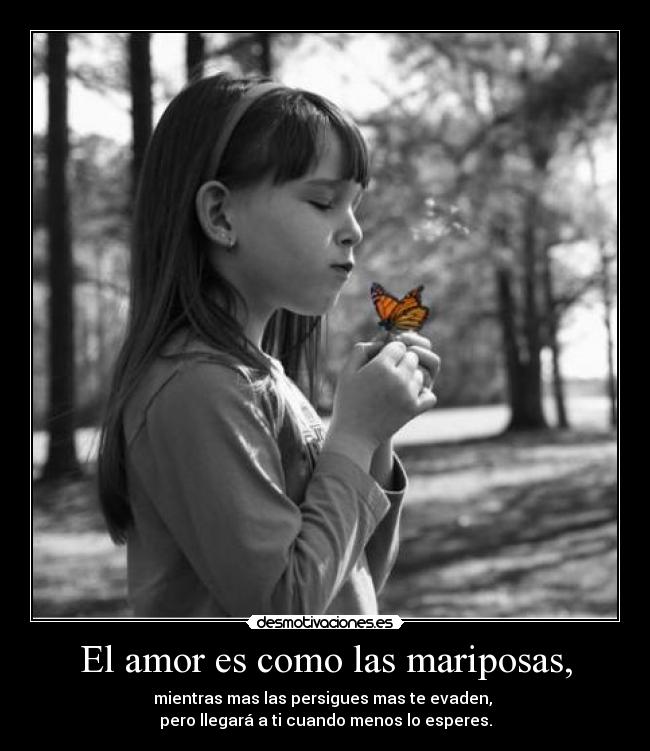El amor es como las mariposas, - mientras mas las persigues mas te evaden, 
pero llegará a ti cuando menos lo esperes.