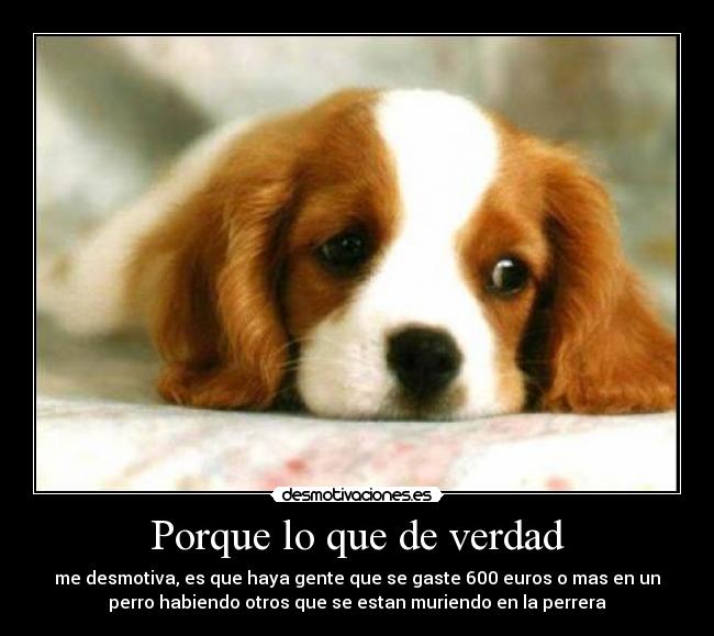 Porque lo que de verdad -