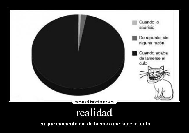 realidad - en que momento me da besos o me lame mi gato