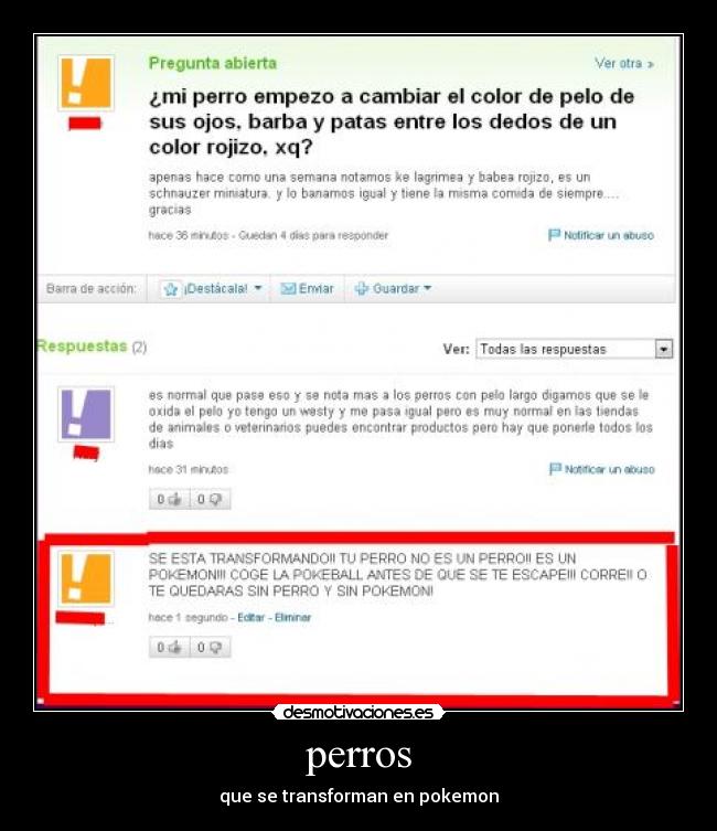 perros - que se transforman en pokemon