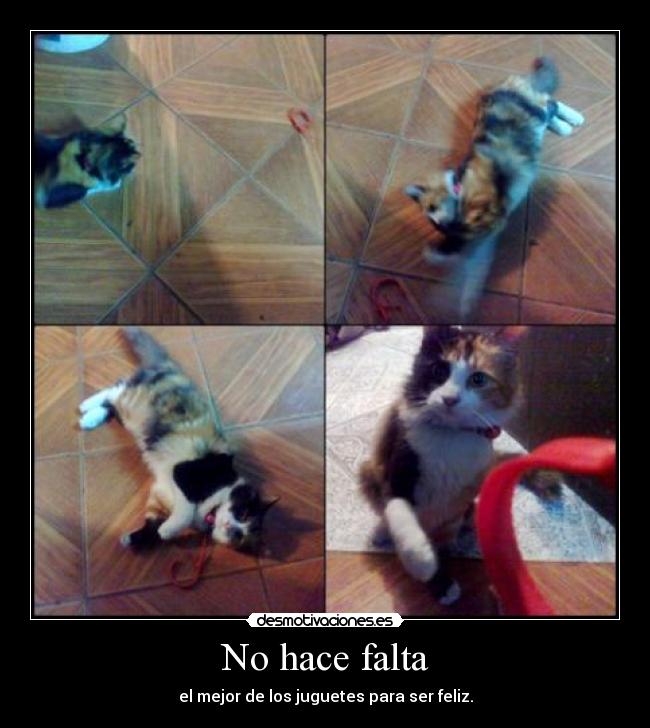 No hace falta - el mejor de los juguetes para ser feliz.