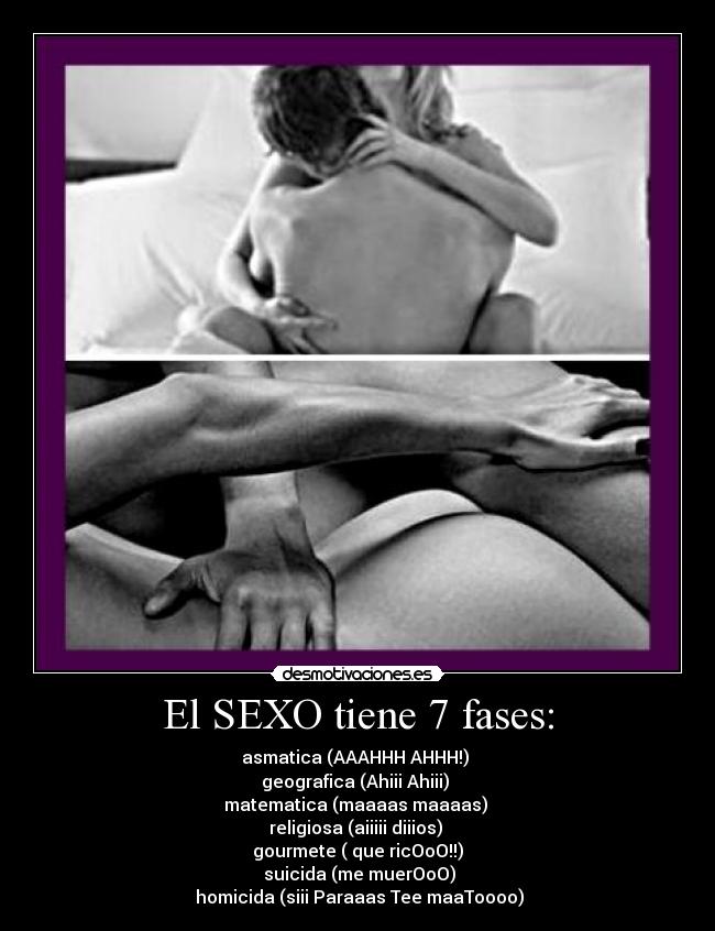El SEXO tiene 7 fases: - 