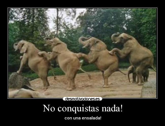 No conquistas nada! - 