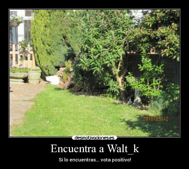 Encuentra a Walt_k - 