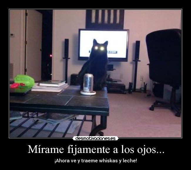 Mírame fijamente a los ojos... - 