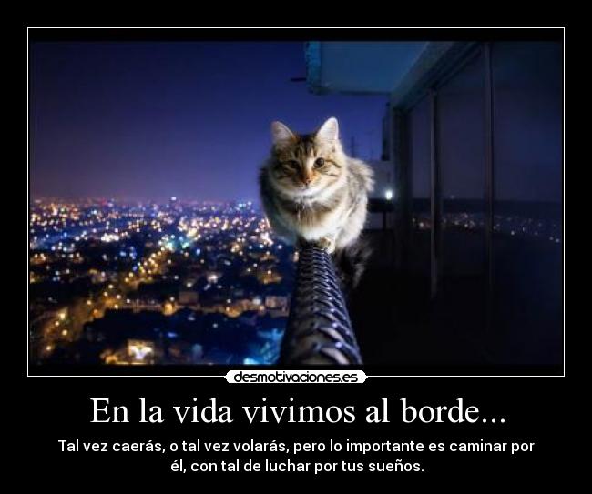 En la vida vivimos al borde... - 