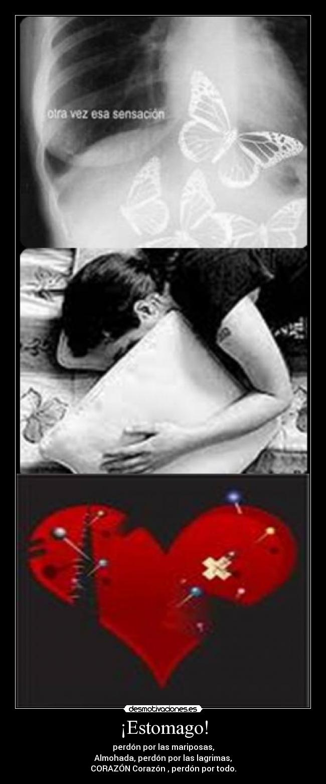 ¡Estomago! - perdón por las mariposas,
Almohada, perdón por las lagrimas,
CORAZÓN♥Corazón♥, perdón por todo.