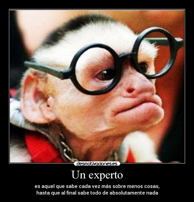 carteles experto desmotivaciones