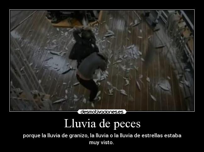 Lluvia de peces - porque la lluvia de granizo, la lluvia o la lluvia de estrellas estaba muy visto.