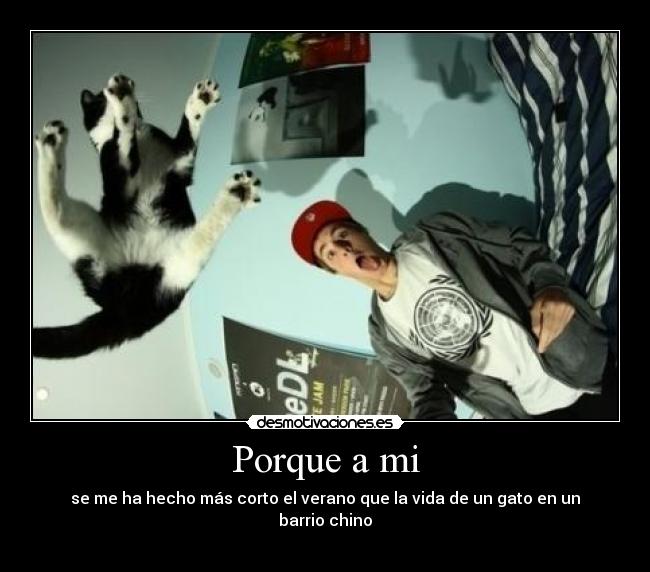 Porque a mi - se me ha hecho más corto el verano que la vida de un gato en un barrio chino