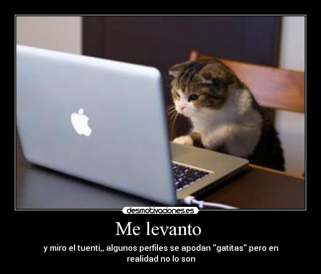 Me levanto -