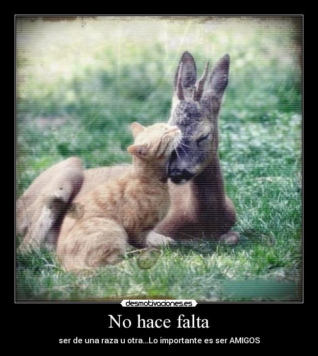 No hace falta - ser de una raza u otra...Lo importante es ser AMIGOS