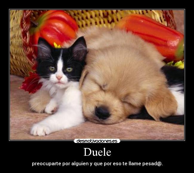 Duele - preocuparte por alguien y que por eso te llame pesad@.