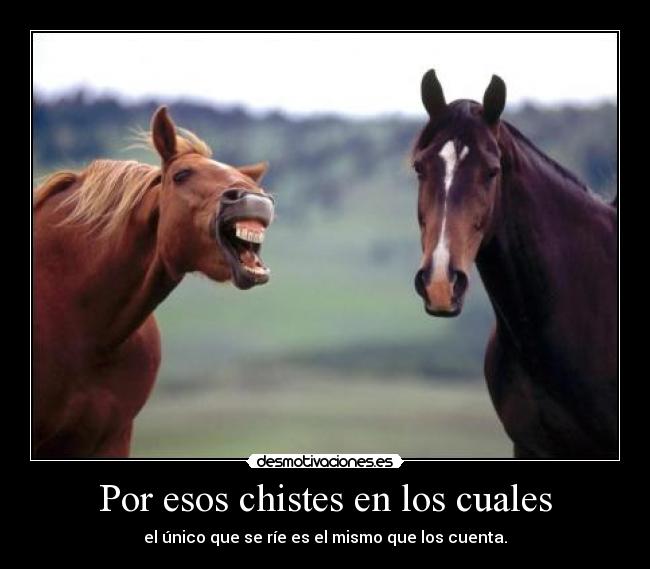 Por esos chistes en los cuales - 