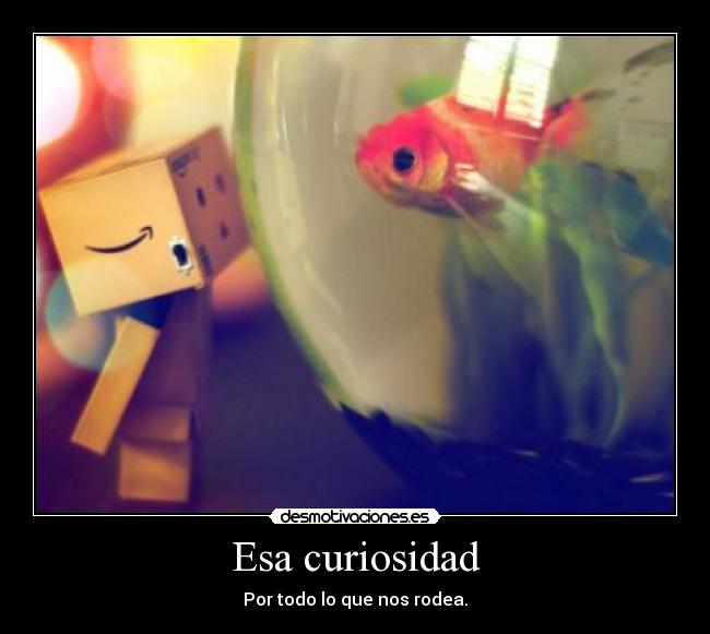 Esa curiosidad - Por todo lo que nos rodea.