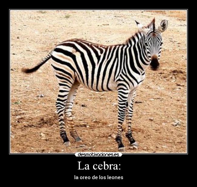 La cebra: -