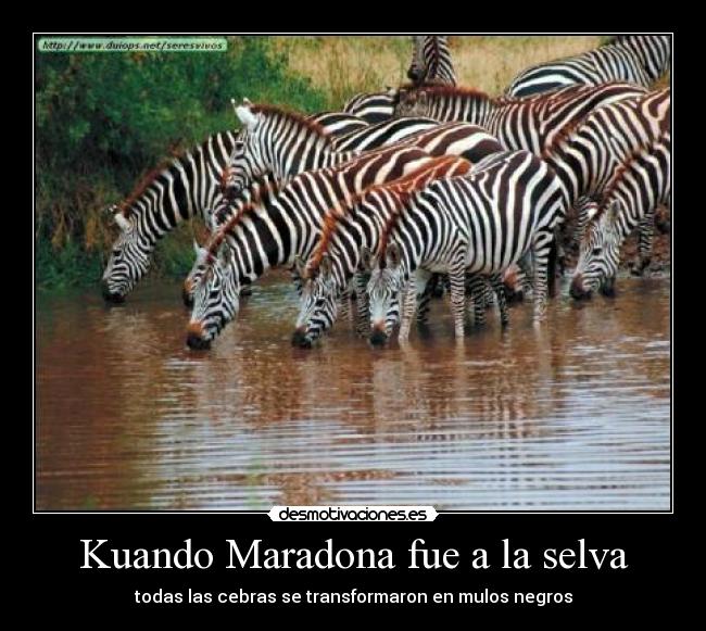 Kuando Maradona fue a la selva -