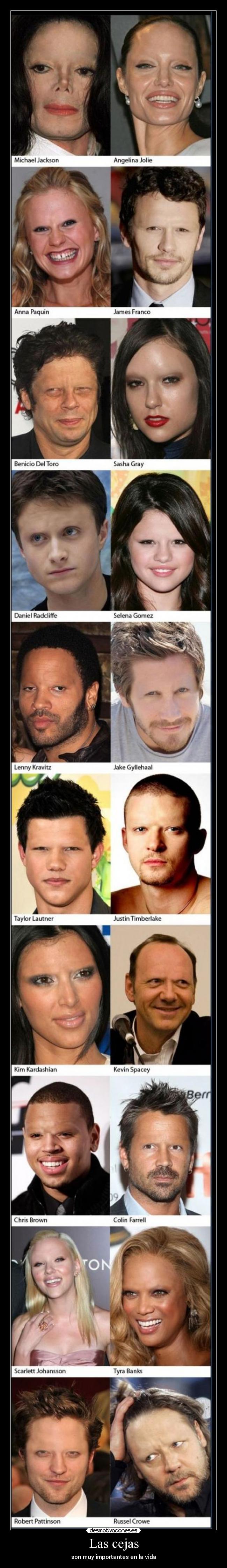 Las cejas - 