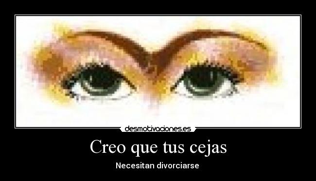 carteles cejas desmotivaciones