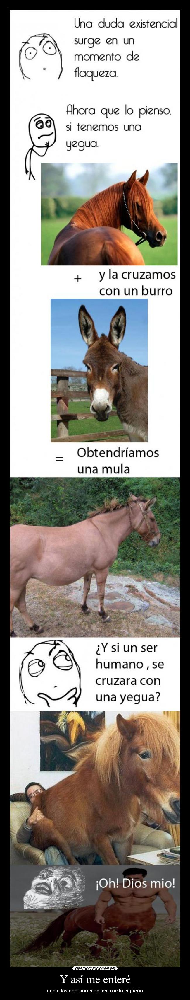 Y así me enteré - que a los centauros no los trae la cigüeña.