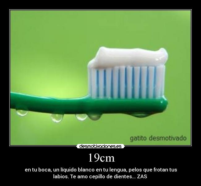 19cm - en tu boca, un líquido blanco en tu lengua, pelos que frotan tus
labios. Te amo cepillo de dientes... ZAS