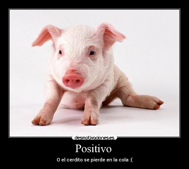 Positivo  - 