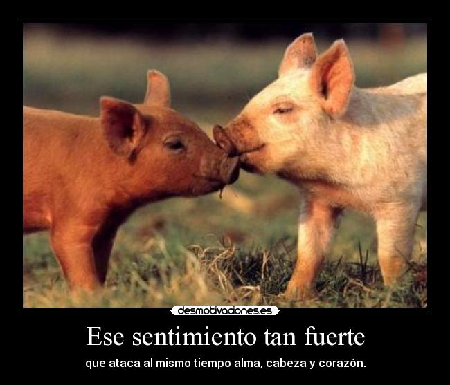 Ese sentimiento tan fuerte - que ataca al mismo tiempo alma, cabeza y corazón.