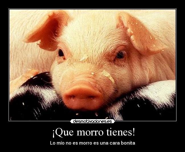 ¡Que morro tienes! - Lo mío no es morro es una cara bonita