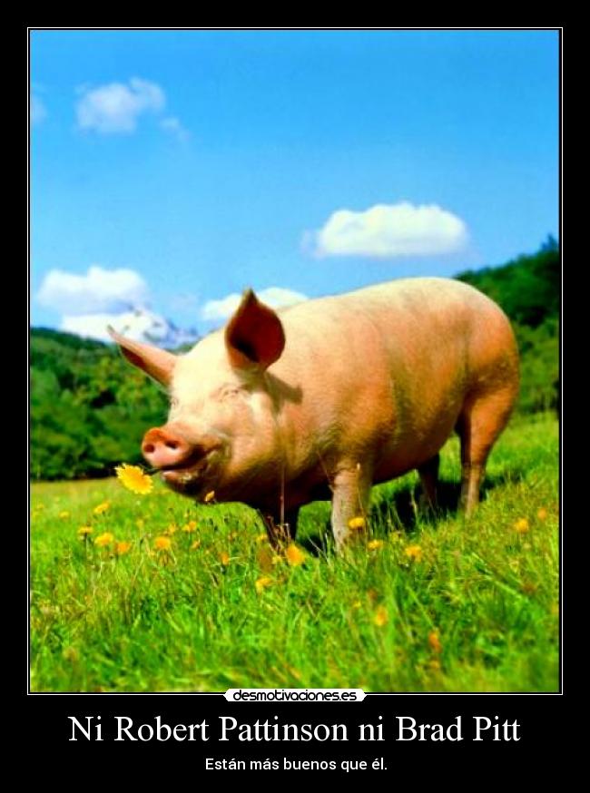 Ni Robert Pattinson ni Brad Pitt -