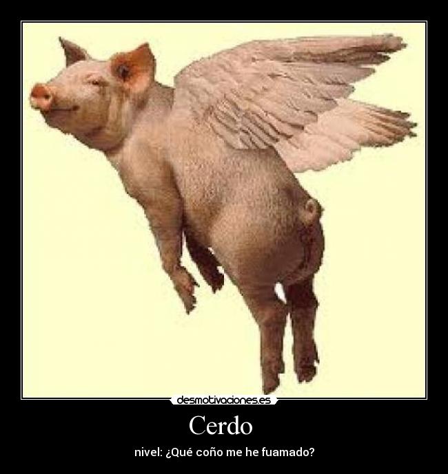 Cerdo  - nivel: ¿Qué coño me he fuamado?