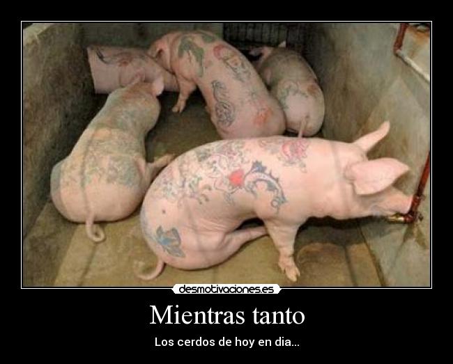 Mientras tanto - Los cerdos de hoy en dia...
