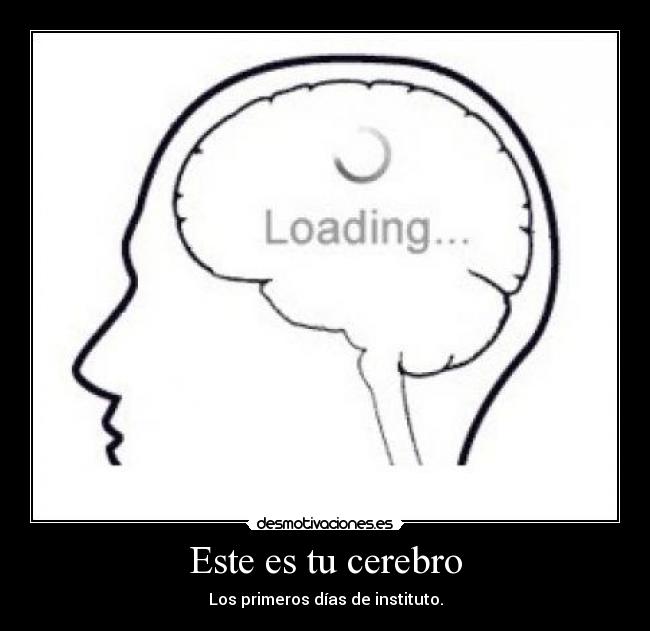 Este es tu cerebro -