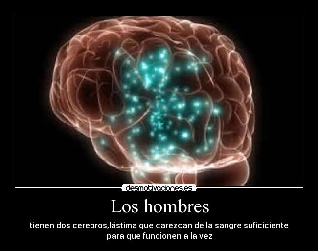 Los hombres - tienen dos cerebros,lástima que carezcan de la sangre suficiciente
para que funcionen a la vez