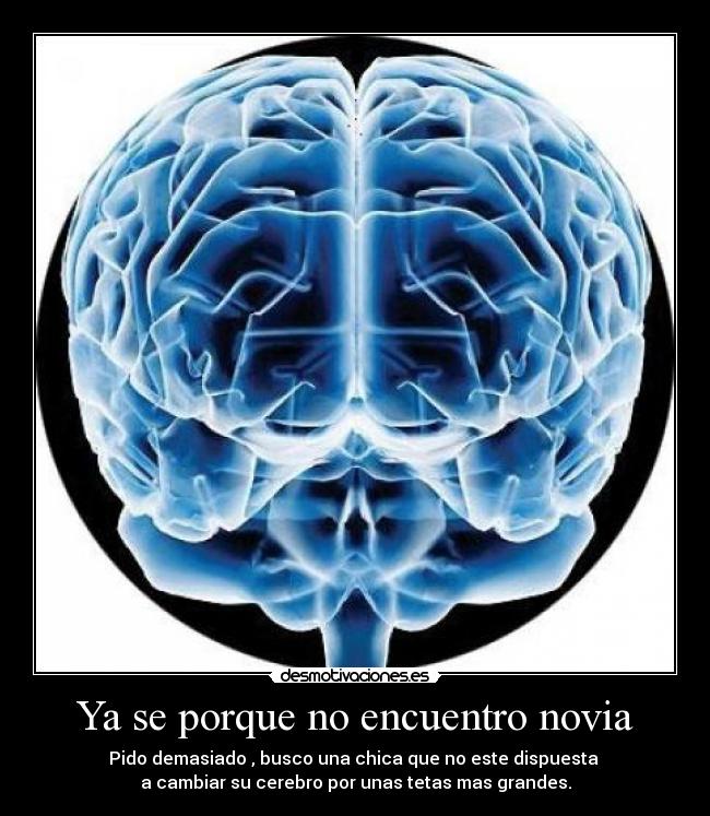 Ya se porque no encuentro novia - Pido demasiado , busco una chica que no este dispuesta
a cambiar su cerebro por unas tetas mas grandes.