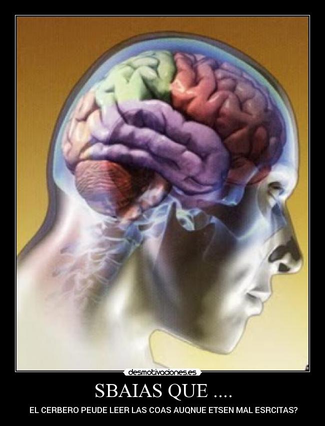 carteles cerebro desmotivaciones