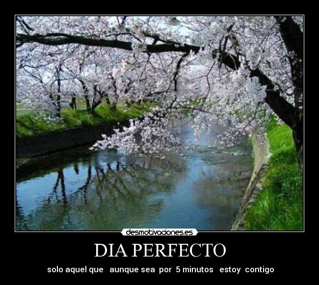 carteles contigo desmotivaciones