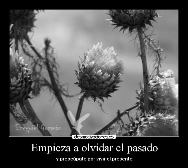 Empieza a olvidar el pasado - y preocúpate por vivir el presente