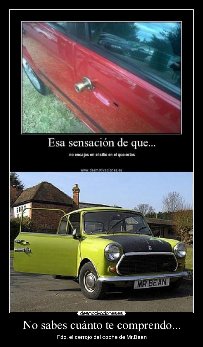 No sabes cuánto te comprendo... -