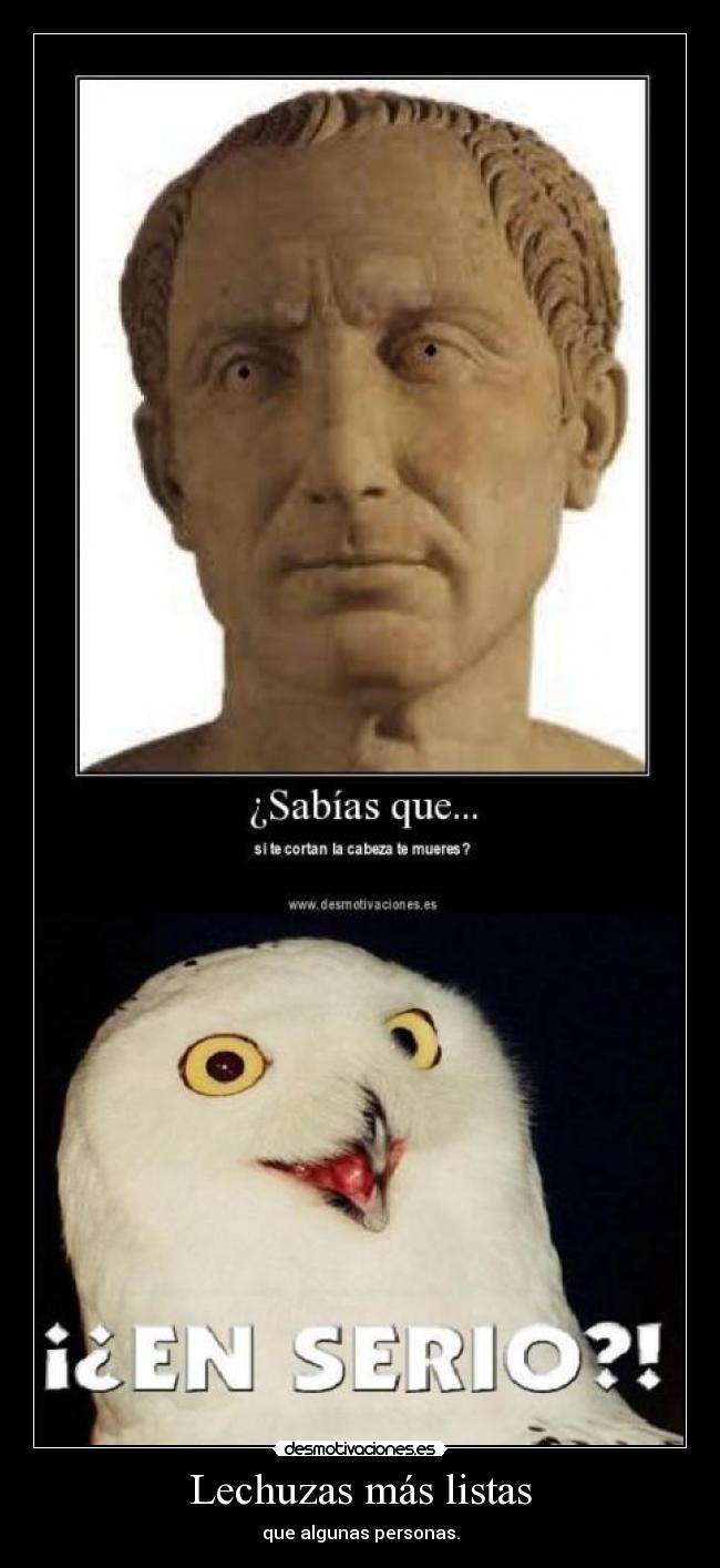 Lechuzas más listas -