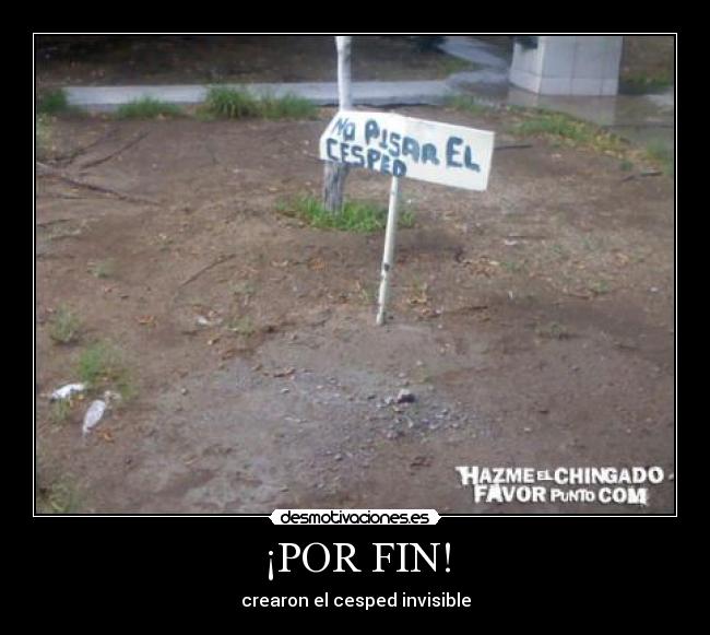 ¡POR FIN! - crearon el cesped invisible