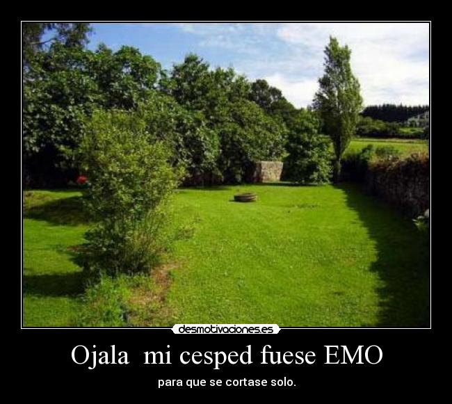 Ojala  mi cesped fuese EMO - 