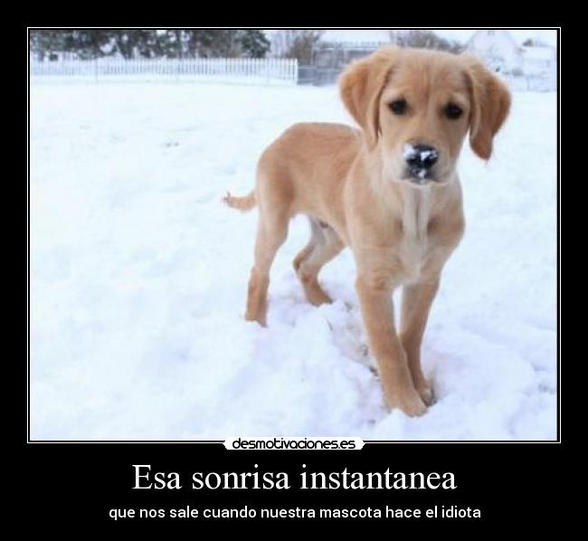 Esa sonrisa instantanea -