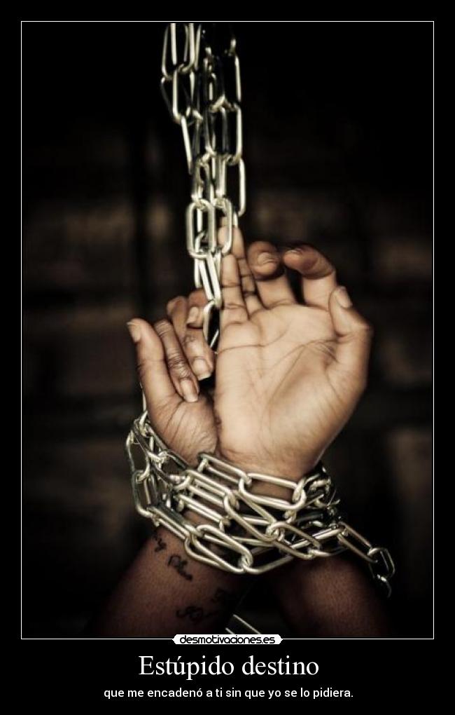 Estúpido destino - 
