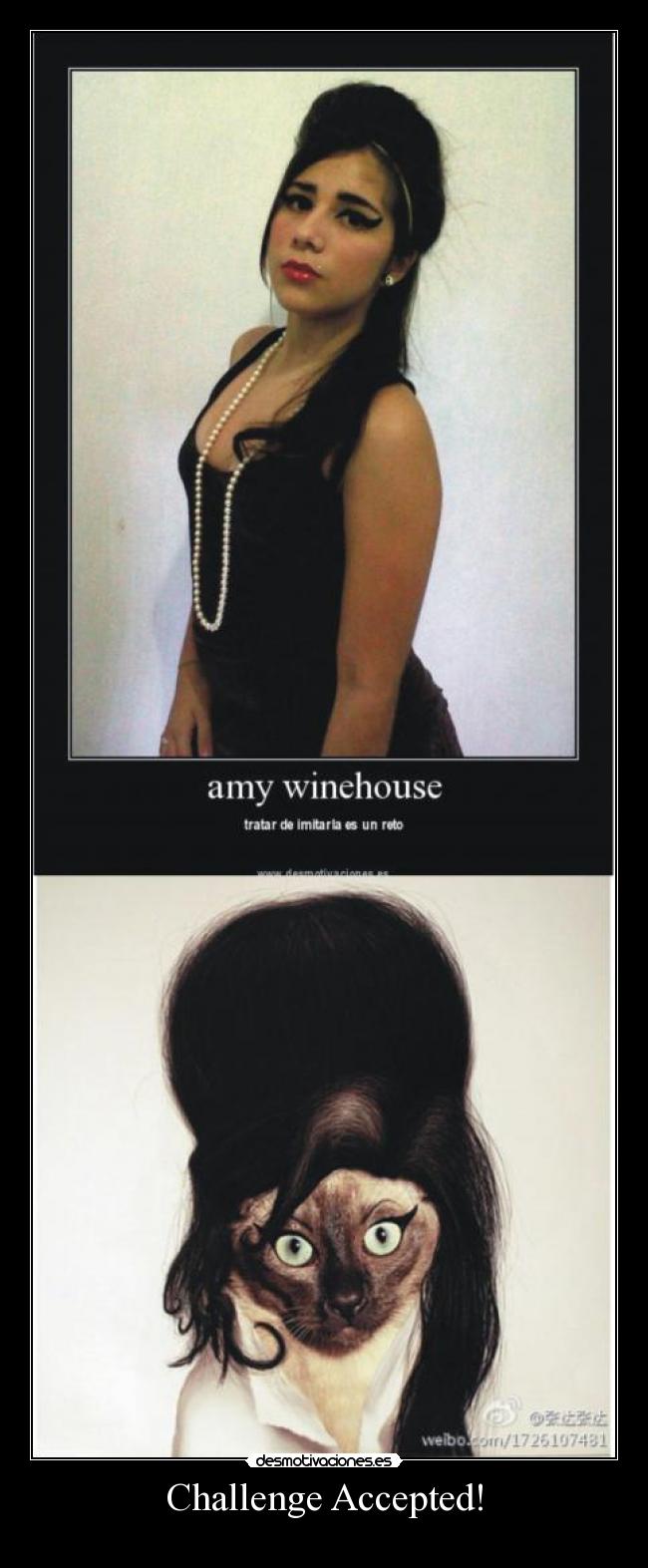 Challenge Accepted! - 