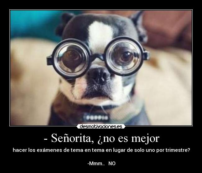 - Señorita, ¿no es mejor - hacer los exámenes de tema en tema en lugar de solo uno por trimestre?
-Mmm.. NO