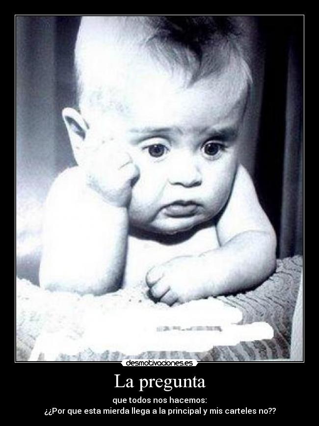 La pregunta - 