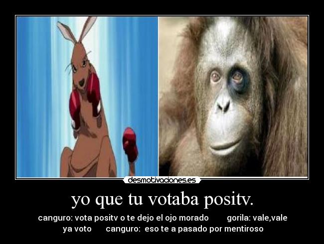 yo que tu votaba positv. - canguro: vota positv o te dejo el ojo morado gorila: vale,vale
ya voto canguro: eso te a pasado por mentiroso