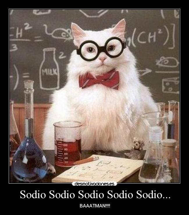 carteles sodio quimica gatosbataman tetas clases desmotivaciones