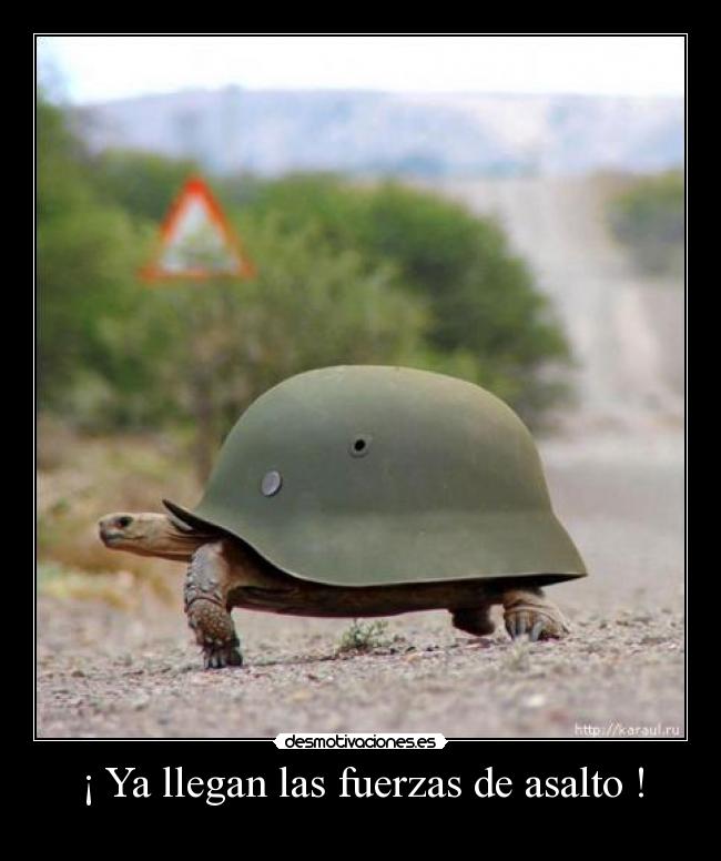 carteles tortugas soldado ultimo ejercito desmotivaciones