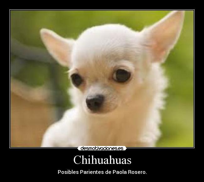 carteles principal desmotivaciones